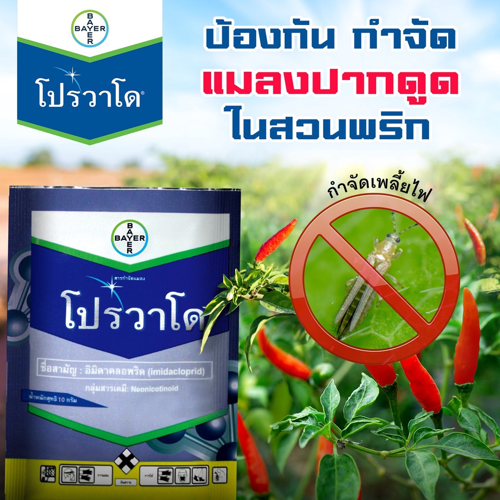 โปรวาโด-10g-1-กล่อง-10-ซอง-อิมิดาโคลพริด-สารกำจัดแมลง-เพลี้ยไฟ-เพลี้ยแป้ง-เพลี้ยกระโดด-แมลงหวี่ขาว-หนอน