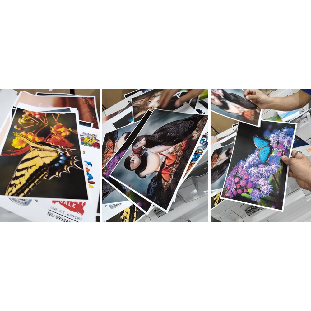 สติกเกอร์เลเซอร์ A3 เนื้อ PP Sticker Laser ชนิดกันน้ำ สำหรับเครื่อง ...