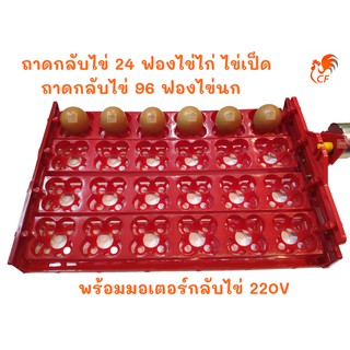 (ส่งด่วน ในไทย) รางฟักไข่ ถาดฟักไข่ รุ่น 4 ราง ไข่ไก่ ไข่เป็ด 24 ฟอง ไข่นก 96  ฟอง ถาดผลิกไข่ กลับไข่อัตโนมัติ