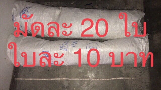 กระสอบสาน-มือสอง-ราคาถูกความกว้าง-30-50-นิ้ว