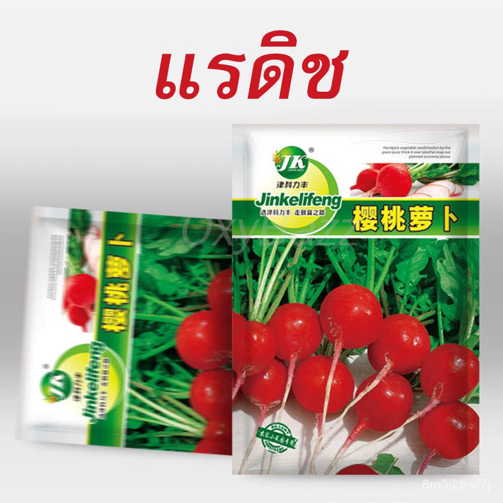 อินทรีย์-ต้น-ดอก-เมล็ดแรดิช-500เมล็ด-radish-seed-หัวผักกาด-หัวผักกาดฝรั่ง-หัวผักกาดแดง-pras