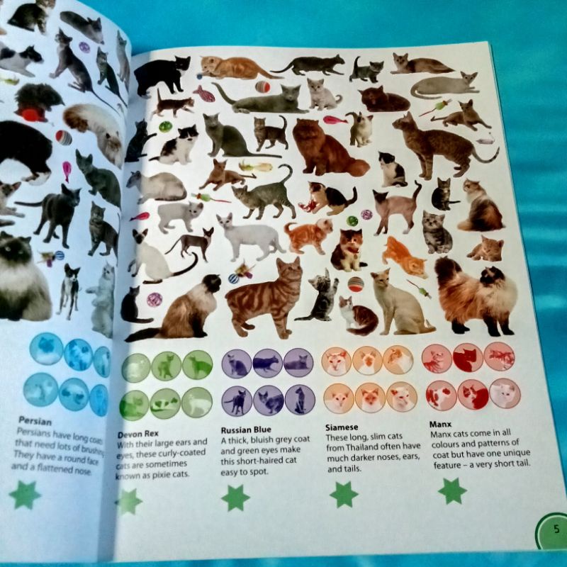 หนังสือใหม่ปกอ่อน-sticker-activity-amazing-animals