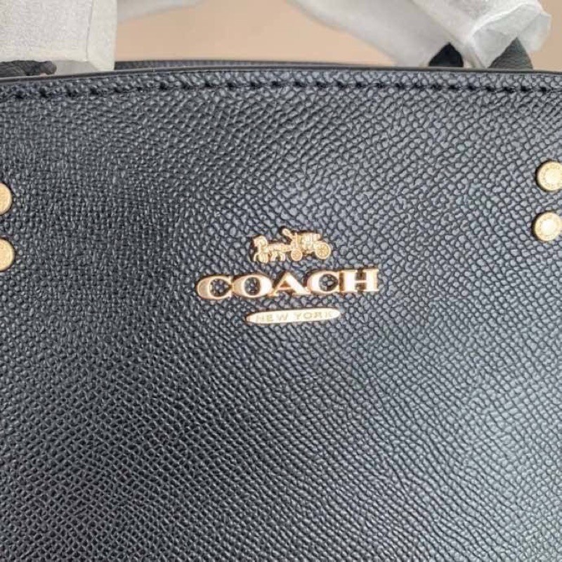 coach-mini-lillie-carryall