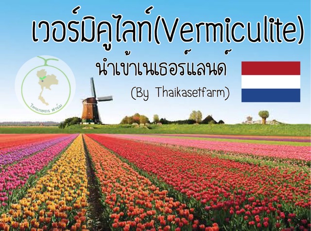 ภาพหน้าปกสินค้าเวอร์มิคูไลท์ (Vermiculite)นำเข้าเนเธอร์แลนด์ 500g จากร้าน thaikasetfarm บน Shopee