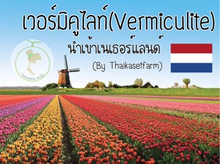 ภาพขนาดย่อของภาพหน้าปกสินค้าเวอร์มิคูไลท์ (Vermiculite)นำเข้าเนเธอร์แลนด์ 500g จากร้าน thaikasetfarm บน Shopee