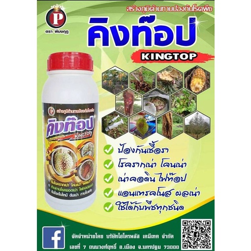 คิงท๊อป-ขนาด-1-ลิตร-โรครากเน่าโคนเน่าในทุเรียน