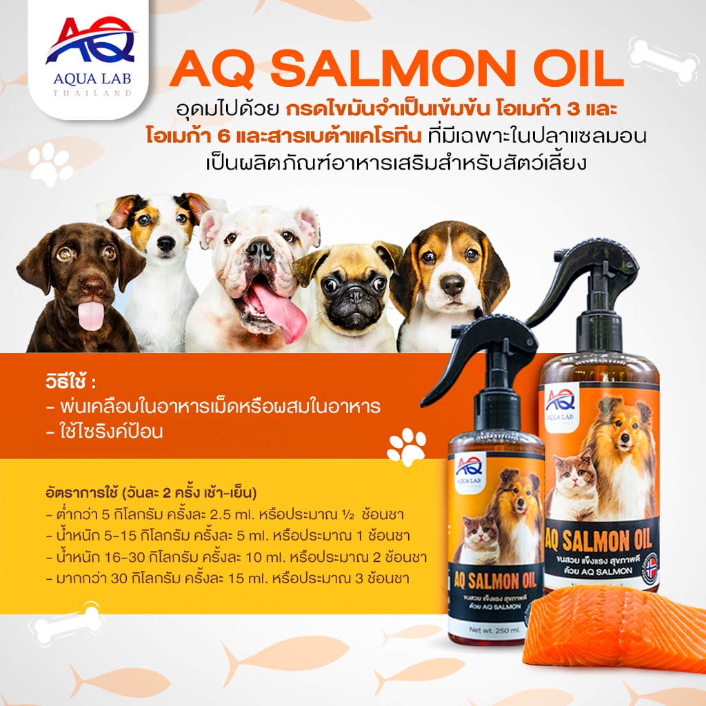 บำรุงขนสวย-แข็งแรง-สุขภาพดี-ด้วย-aq-salmon-น้ำมันปลาแซลมอนจากนอร์เวย์-พร้อมส่ง