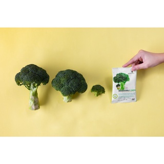 ภาพขนาดย่อของภาพหน้าปกสินค้าGreenday Kids Broccoli Chips กรีนเดย์คิดส์บร็อคโคลีกรอบ 9 กรัม จากร้าน greendayonline บน Shopee ภาพที่ 2