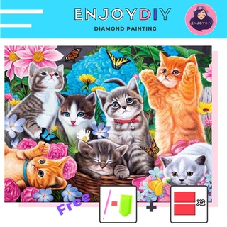 ภาพครอสติสคริสตัล ลายแก๊งแมวหลากสี 5d diy diamond painting แบบเม็ด ติดเต็ม เม็ดกลม พร้อมส่งจากไทย EnjoyDIY มีประกัน