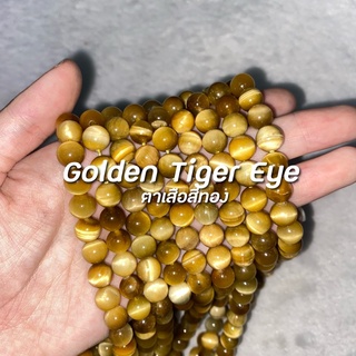 Golden Tiger Eye (ตาเสือสีทอง)