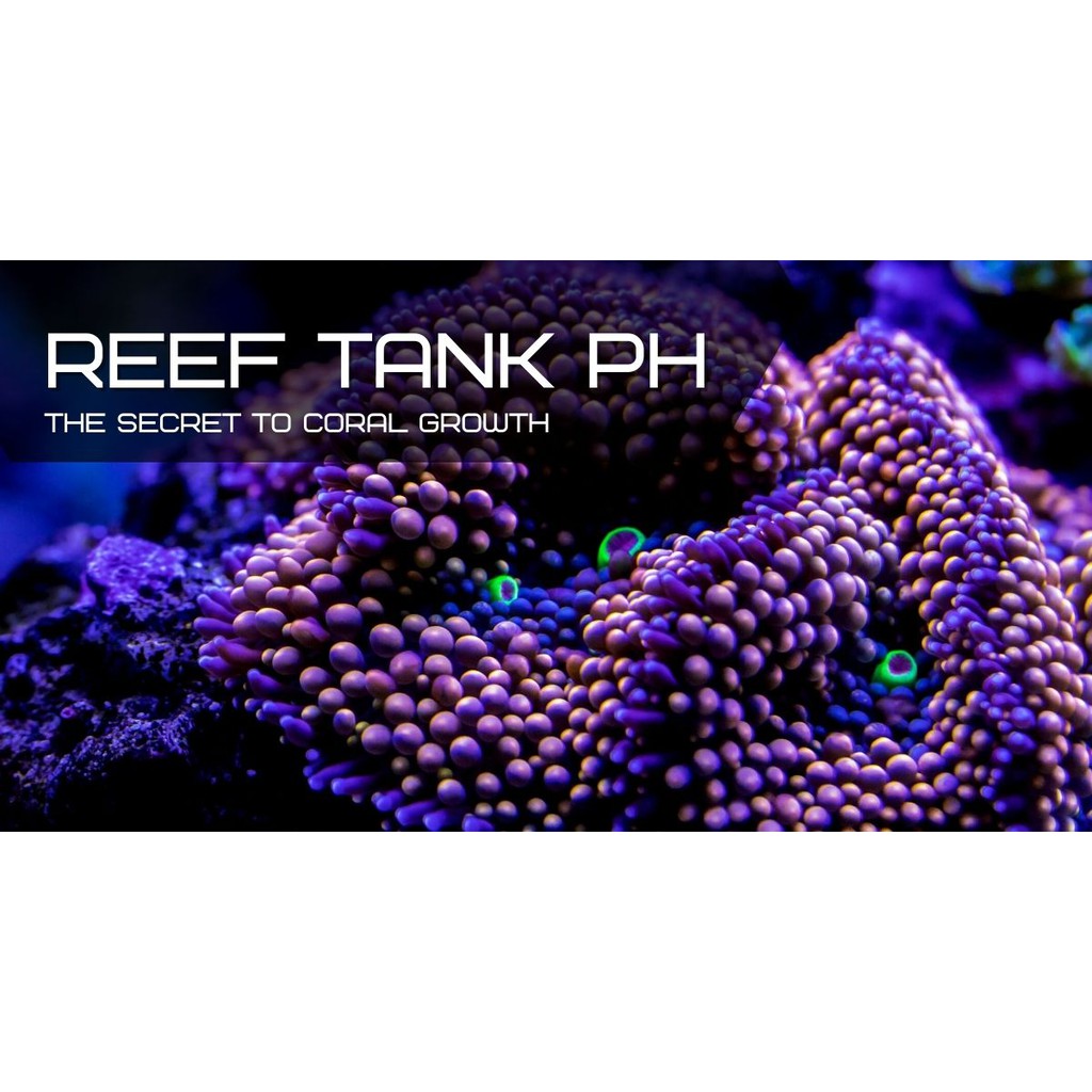 ph-balance-225g-สารเพิ่มระดับ-ph-สำหรับตู้ปลาทะเล-ตู้ปะการัง-ยี่ห้อ-two-little-fishies-รักษาระดับค่า-ph-kh-ให้เหมาะสม