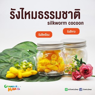 [พร้อมส่ง] รังไหม มีสีเหลืองและสีขาว Silkworm cocoon