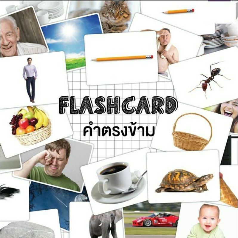 แฟลชการ์ดคำตรงข้าม-แผ่นใหญ่-flash-card-opposite-words-kp073-2winbooktoys