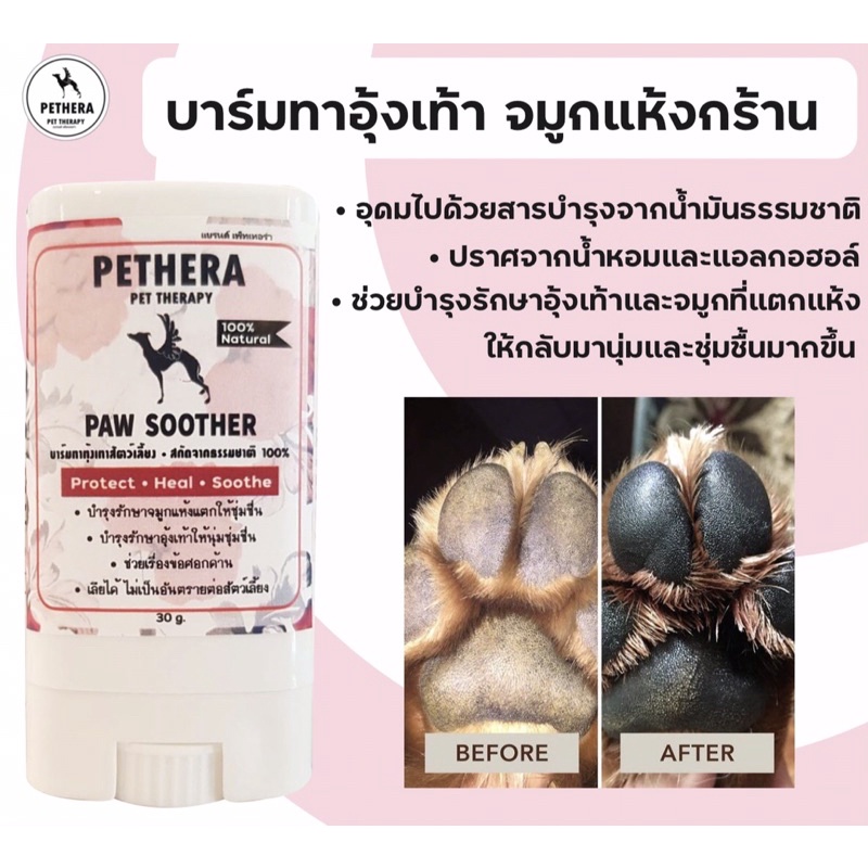ภาพหน้าปกสินค้าPaw​ Soother Pethera ทาอุ้งเท้า​ ข้อศอกด้าน แผลกดทับ ทาจมูกสุนัข/แมวให้ชุ่มชื่น ธรรมชาติ100%เลียได้ จากร้าน pethera_official บน Shopee