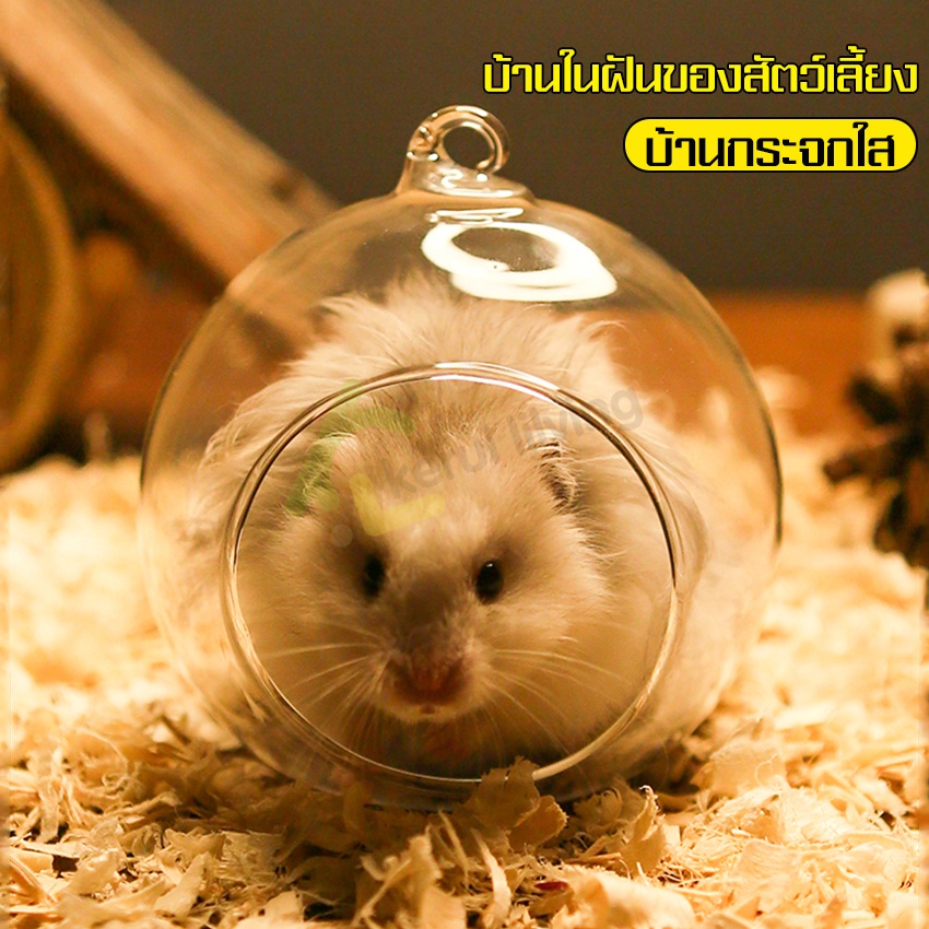 บ้านแฮมสเตอร์-hamster-house-โดมหนูแฮมสเตอร์-บ้านหนูแฮมเตอร์-บ้านสัตว์เลี้ยง-ที่นอนหนูแฮมสเตอร์-ของเล่นหนูแฮมเตอร์-แบบใส