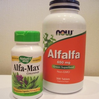 💥pre order💥🇺🇸 Now Foods Alfalfa, 650 mg, 250 Tablets