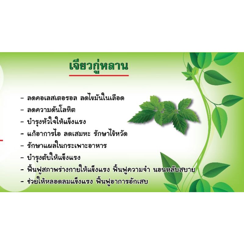 คัดพิเศษ-เจียวกู้หลานใบล้วนขนาด100กรัม