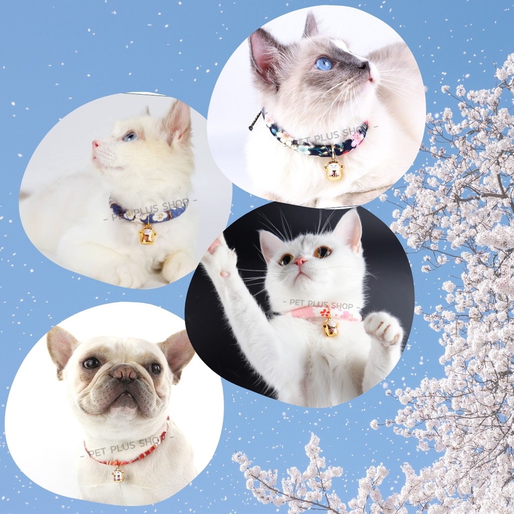 ภาพสินค้าปลอกคอแมว ปลอกคอสุนัข  ปลอกคอสัตว์เลี้ยงแนวญี่ปุ่น ปอกคอแมวเล็ก มาพร้อมกระดิ่งนำโชค จากร้าน petplusshop บน Shopee ภาพที่ 2