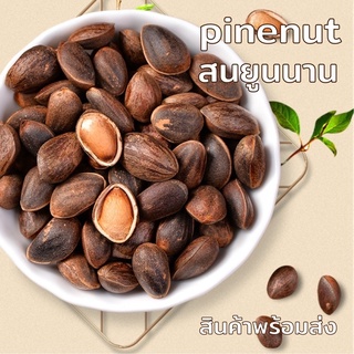 ภาพหน้าปกสินค้าเม็ดสน 250 กรัม pine nut ไพน์นัท รับประกันเม็ดใหญ่ เต็มเม็ด ที่เกี่ยวข้อง