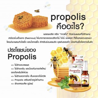 Propolis mouth spray พรอพอลิส สเปรย์ระงับกลิ่นปาก 10ml
