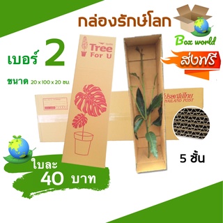 กล่องแพ็คต้นไม้ เบอร์ 2 เกรดคุณภาพ (แพ๊คละ 5 ใบ) ส่งฟรี