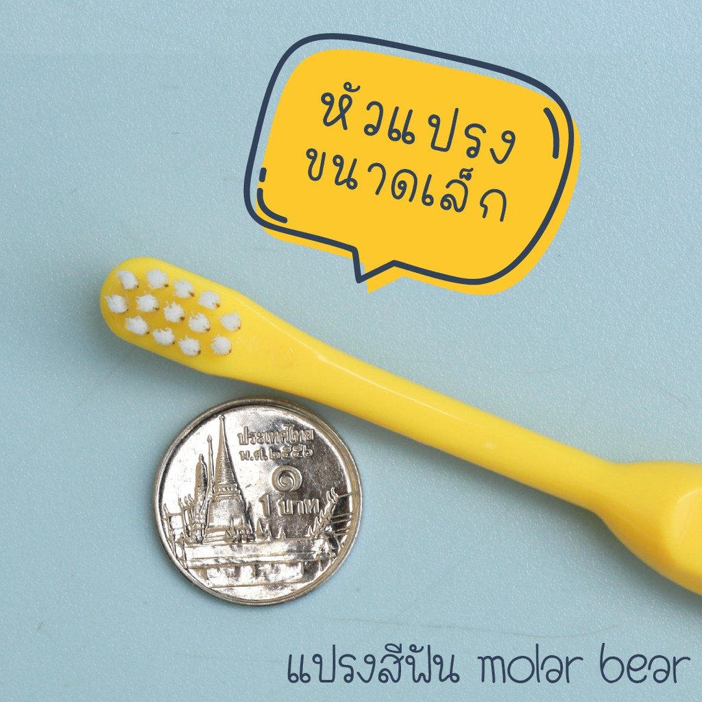 ภาพหน้าปกสินค้า0-3 ขวบ+ Molar Bear แปรงสีฟันเด็ก ขนนุ่ม หัวแปรงขนาดเล็ก จากร้าน molarbear บน Shopee