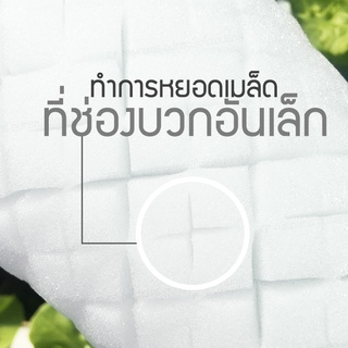 ภาพหน้าปกสินค้าฟองน้ำเพาะเมล็ด 1 แผ่น [ไร้ขอบ] ปลูกผักไฮโดรโปนิกส์ ผักสลัด | KP การเกษตร ที่เกี่ยวข้อง