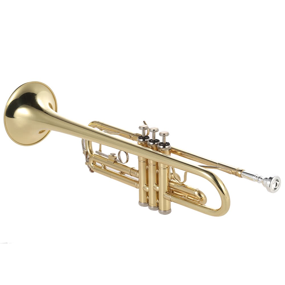 pre-order-trumpet-bb-b-flat-ทรัมเป็ต-บี-แฟลท-พร้อม-กล้องโฟมหุ้มกํามะหยี่-อุปกรณ์ทำความสะอาด