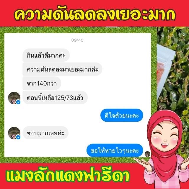 แมงลักแดงฟารีดาสมุนไพรเพื่อสุขภาพ