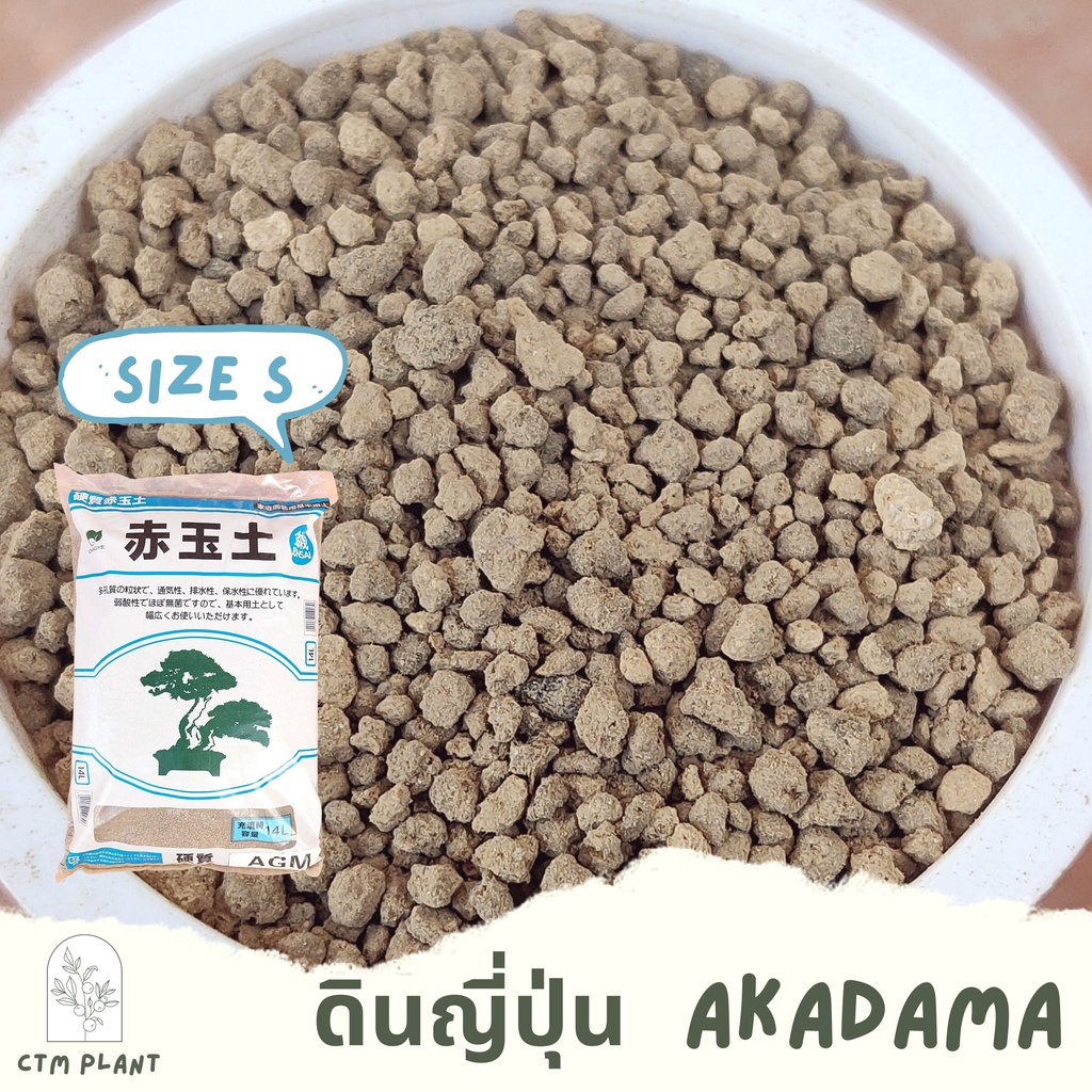 ดินญี่ปุ่น-อาคาดามะ-พร้อมส่ง-akadama-1000-กรัม-นำเข้าจากญี่ปุ่น-1-กก