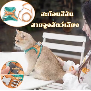 🐕COD🐈สายจูงสัตว์เลี้ยง Colorful Reflective เกรดพรีเมี่ยม  สายจูงแมว สายจูงหมา