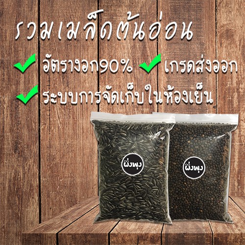 รวมเมล็ดพันธุ์ต้นอ่อน-เมล็ดเพาะ-เมล็ดผัก-เมล็ดต้นอ่อน-ทานตะวัน-ผักบุ้ง-โต้วเหมี่ยว-ถั่วลันเตา-ข้าวสาลี-ไควาเระ