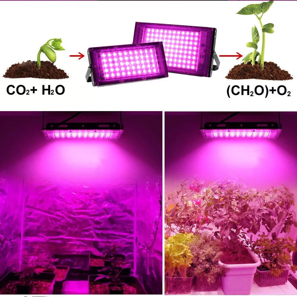 220v-full-spectrum-led-grow-light-50w-100w-ไฟปลุกต้นไม้-ไฟช่วยต้นไม้ตัวเร็ว-มีสวิตช์ปิดเปิด-สายไฟยาว1-5โมตร