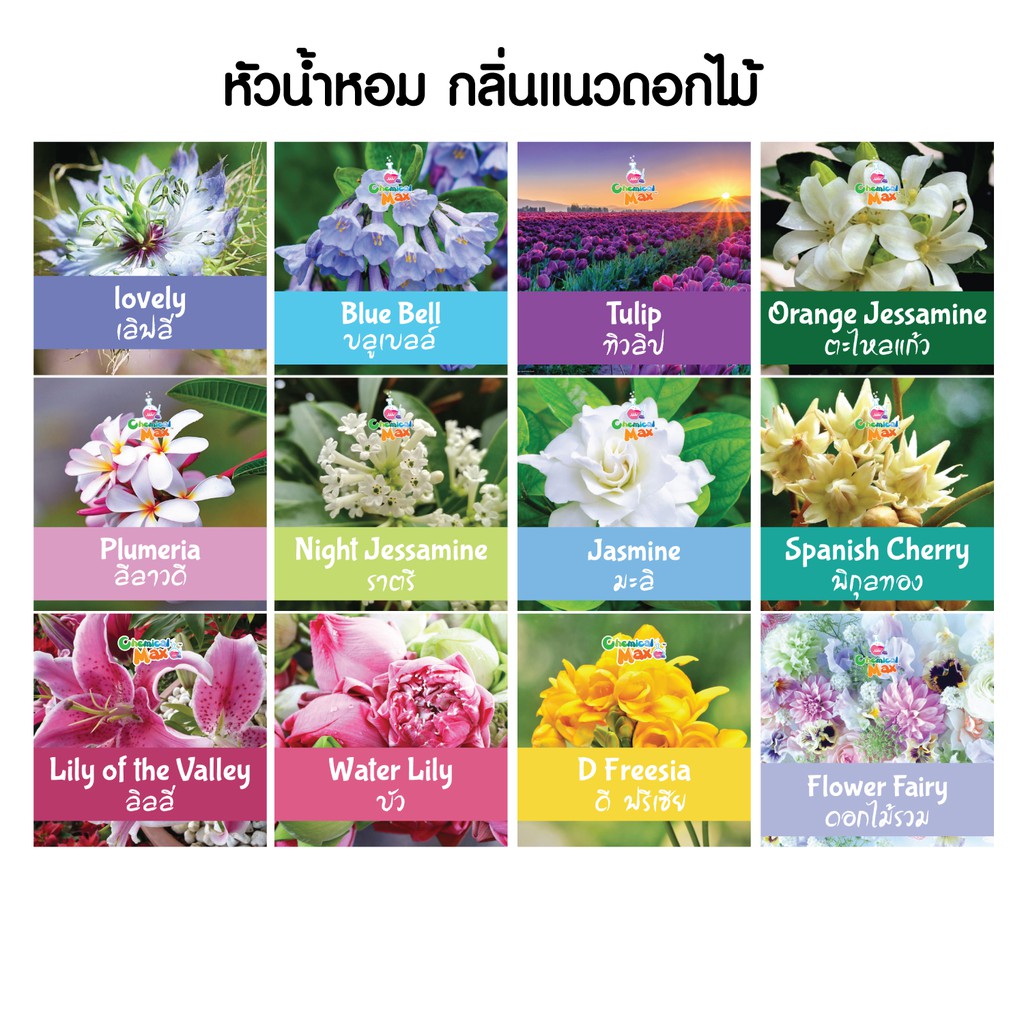 สินค้าทดลอง-ขั้นต่ำ-3-ชิ้น-mini-tester-perfume-เทสเตอร์หัวน้ำหอม-แนวดอกไม้-เทสเตอร์น้ำหอม-มินิเทสเตอร์-ดมทดสอบกลิ่น