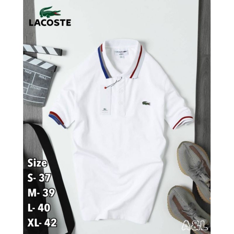 เสื้อโปโลคอปก-lacoste