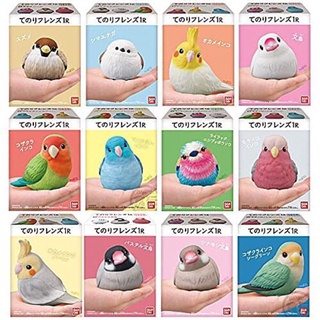 **พร้อมส่ง**โมเดลนก TENORI ของแท้