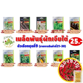 เมล็ดอวบอ้วน100%，ไทยในสต็อกพร้อมส่ง[10แถม2] เจียไต๋ เมล็ดพันธุ์ แตงร้าน Cucumber ประมาณ 60 เมล็ด ตราเจียไต๋ เมล็ดพันธุ์ผ