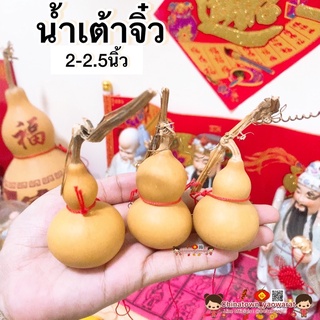 ภาพหน้าปกสินค้าน้ำเต้าแท้ ขนาดจิ๋ว 2-2.5นิ้ว🧧น้ำเต้าดูดทรัพย์ น้ำเต้าไม้ ค้าขายร่ำรวย ดูดเงินดูดทอง เสริมสิริมงคล วางศาลเจ้า กิมตุ้ง ที่เกี่ยวข้อง