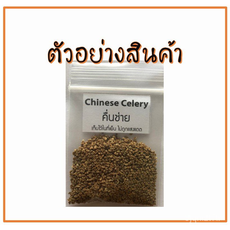 ขายดี-สวนครัว-เมล็ดผักพื้นบ้าน-ผักสวนครัว-เมล็ดพันธุ์-คื่นช่าย-1-000-เมล็ด-10บาท-ถูกสุด-ปลูกง-อินทรีย์-คละ-สวนครัว-ดอก