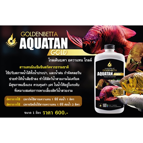 ภาพหน้าปกสินค้าGOLDENBETTA Aquatan Gold สารเสริมประสิทธิภาพน้ำ สูตรน้ำสีทอง (50 cc) จากร้าน goldenbetta_products บน Shopee