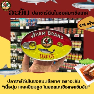 Ayam ปลาซาร์ดีนในซอสมะเขือเทศ 215 กรัม ตรา อะยัม (1634)