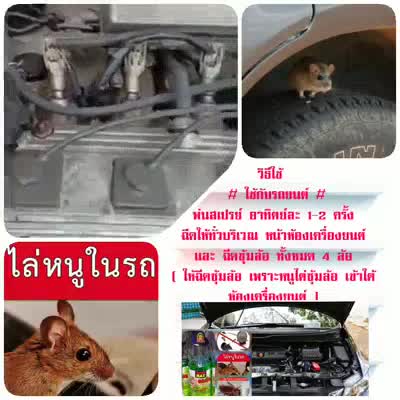 สเปรย์ไล่หนู-กันหนูกัดสายไฟ-ใช้ได้บ้านและรถยนต์