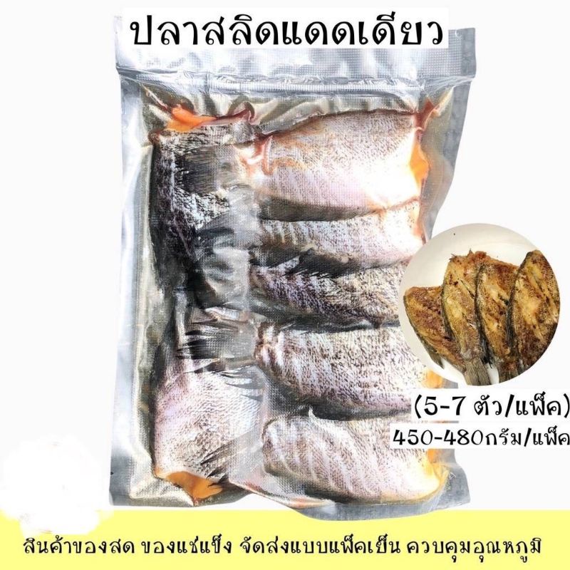 5-7-pcs-pack-ปลาสลิดแดดเดียว-ปลาสลิด-บรรจุแพ็คละ-450-กรัม-ไซต์5-7ตัว-ปลาสลิดแดดเดียว