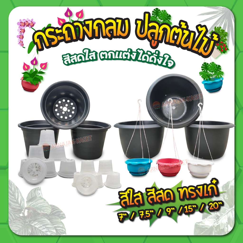 กระถางต้นไม้-กระถางปลูกแคคตัส-แบบกลม-กระถางต้นไม้พลาสติก-กระถางกระบองเพชร-ขนาด-7-9-15-นิ้ว