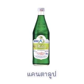 น้ำหวานเฮลบลูบอยกลิ่นแคนตาลูปขนาด 710 มล.​(ของแท้)​