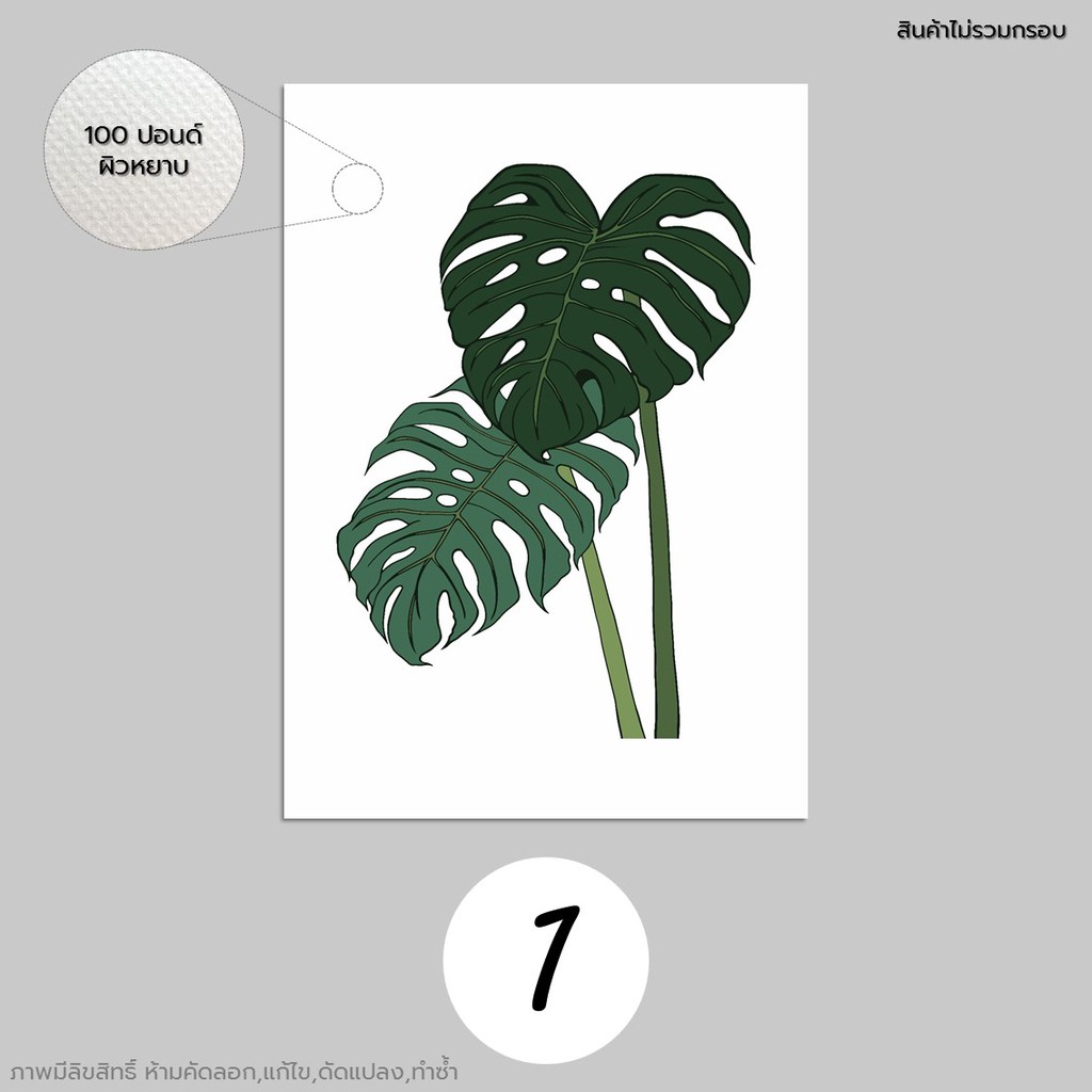 ภาพวาด-ภาพตกแต่ง-รูปตกแต่ง-monstera-มอนสเตอร่า-ใบไม้-กราฟฟิก-กระดาษ100ปอนด์-a3-a4-a5-ภาพพิมพ์-ตกแต่งผนัง