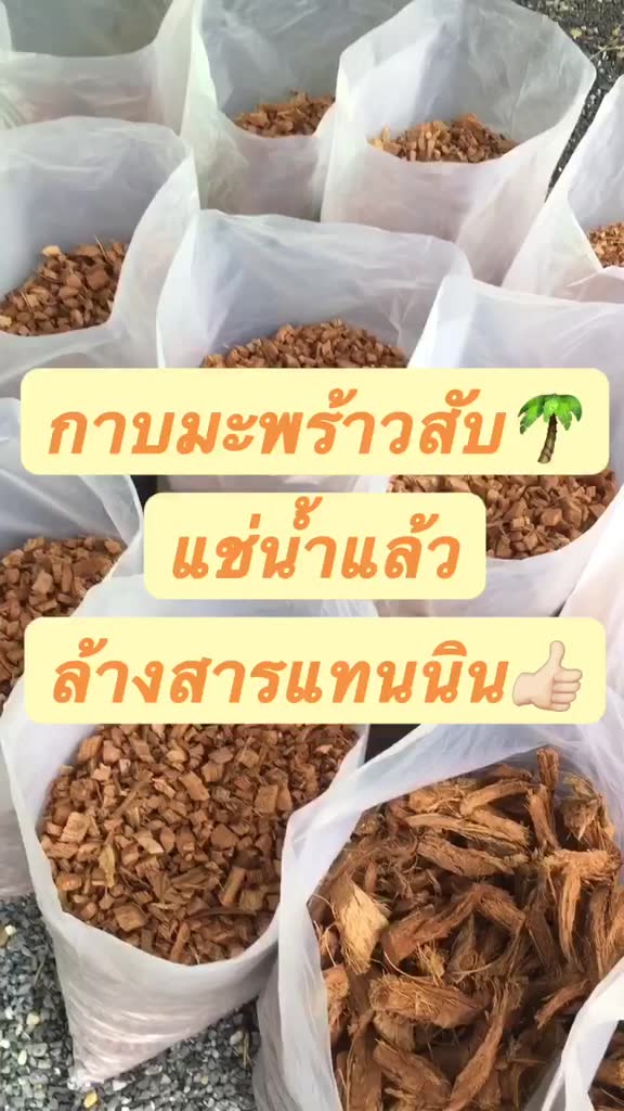 กาบมะพร้าวสับ-ล้างสารแทนนิน-สั่งได้สูงสุด6ถุงต่อ1คำสั่งซื้อ-ไม่สั่งรวมกับสินค้าอื่น