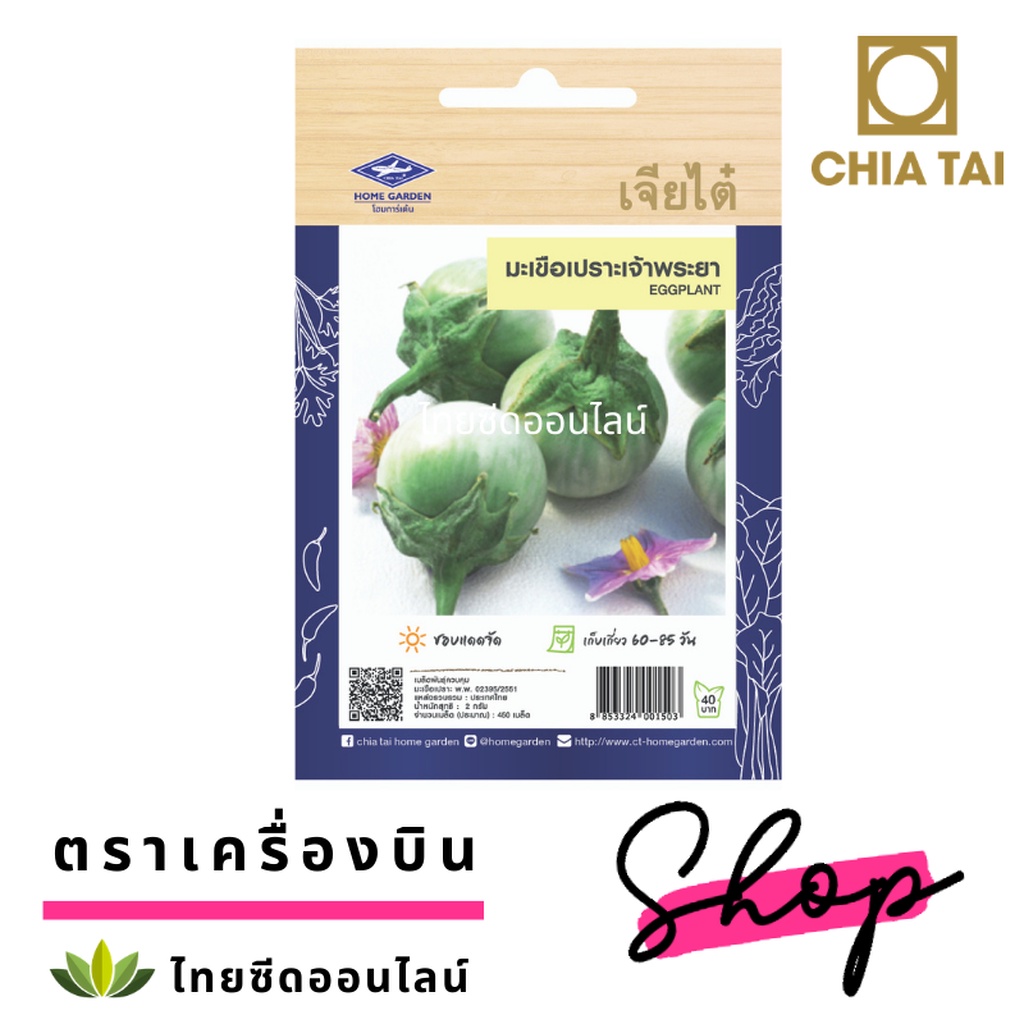 ภาพสินค้าเมล็ดพันธุ์ มะเขือเปราะเจ้าพระยา 450 เมล็ด ซองจัมโบ้ เพิ่มปริมาณมากกว่า 3 เท่า ตราเจียไต๋ Eggplant จากร้าน thaiseedonline บน Shopee ภาพที่ 3