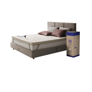 โปรโมชั่น : LOTUS ที่นอนยางพารานุ่มแน่น Latex Made In Belgium รุ่น Forestex II หนา 3 นิ้ว ส่งฟรี