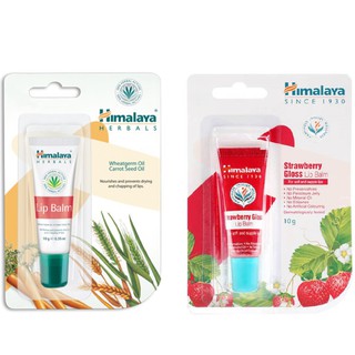 ภาพหน้าปกสินค้า[ค่าส่งถูก] Himalaya Lip Balm 10g.💦 Strawberry Lip Gloss 10g. 🍓 ลิปบาล์ม ลิปกรอส หิมาลายา ที่เกี่ยวข้อง